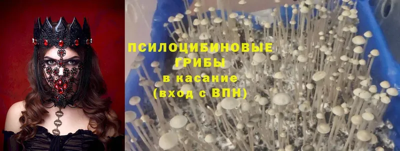 Названия наркотиков Нефтекамск НБОМе  КОКАИН  A-PVP  Меф мяу мяу  МАРИХУАНА  АМФЕТАМИН 